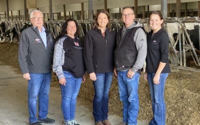 Seven dairy herds recognized for reproductive efficiency