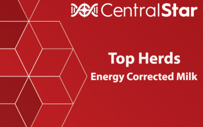 October 2023 Top Herds ECM