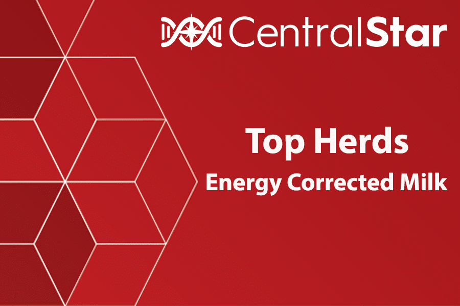 October 2023 Top Herds ECM