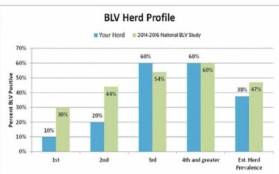 The first step to managing BLV