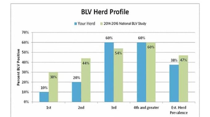 The first step to managing BLV