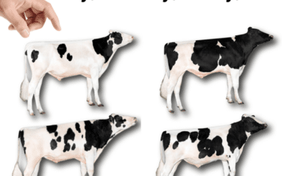 Understanding indexes takes the guesswork out of genetic selection