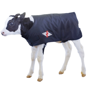 Select Sires Calf Coat – Premium Thermal Protection for Calves in Cold Weather