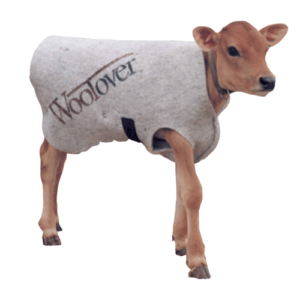 Woolover Calf Coat | Wool Calf Jacket for Dairy & Beef Calves