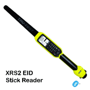 XSR2