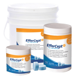 eFFERCEPT