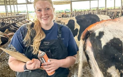 CentralStar announces paid internship opportunities for summer 2024