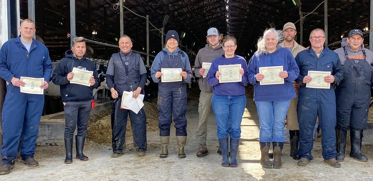 Cattle AI Breeding Training