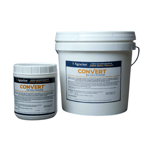 convert big calf powder calf care products 