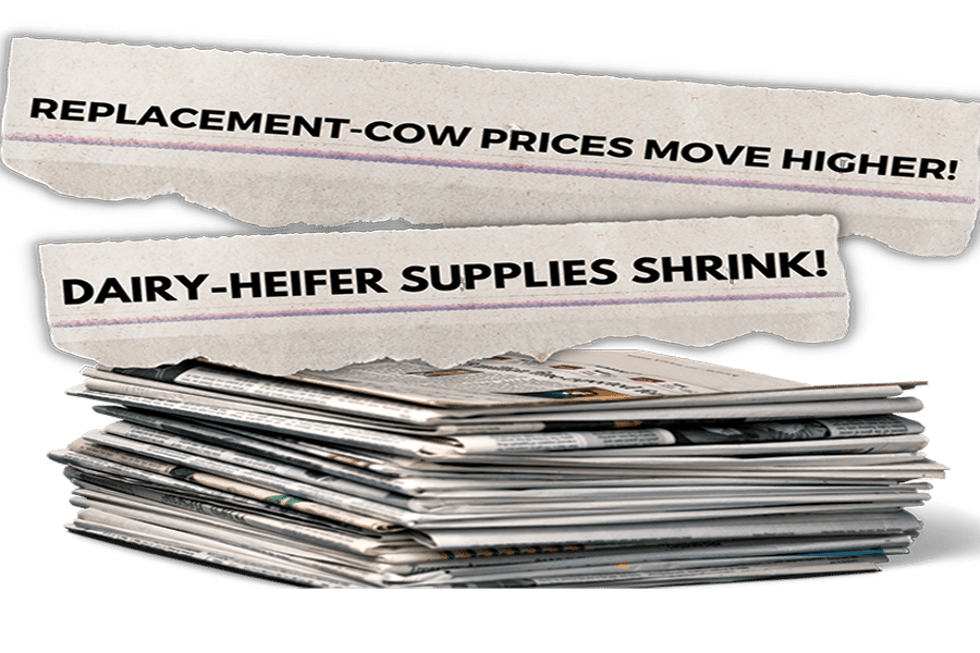 Is it time to change course on your heifer inventory?