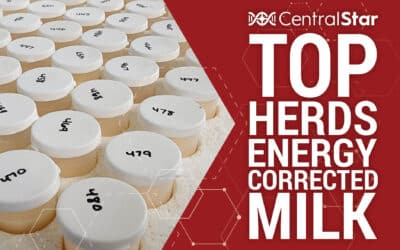December 2024 DHI ECM Top Herds
