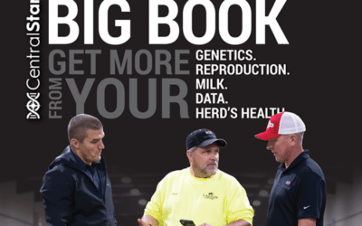 CentralStar Big Book 2024