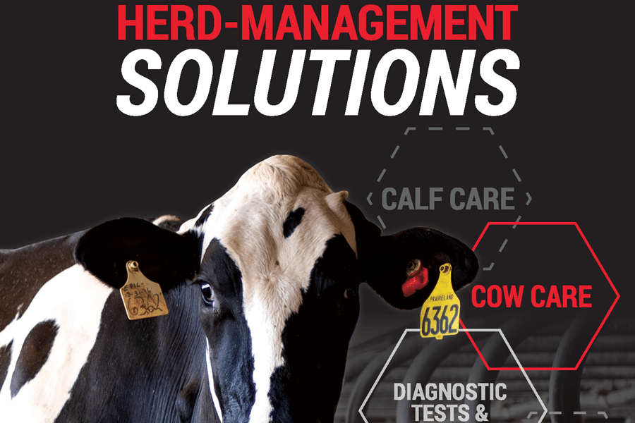 Herd-Management Solutions 2024