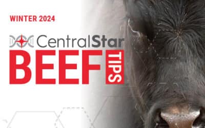 Beef Tips – Winter 2024