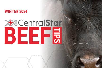 Beef Tips – Winter 2024