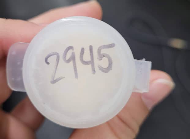 labeled vial