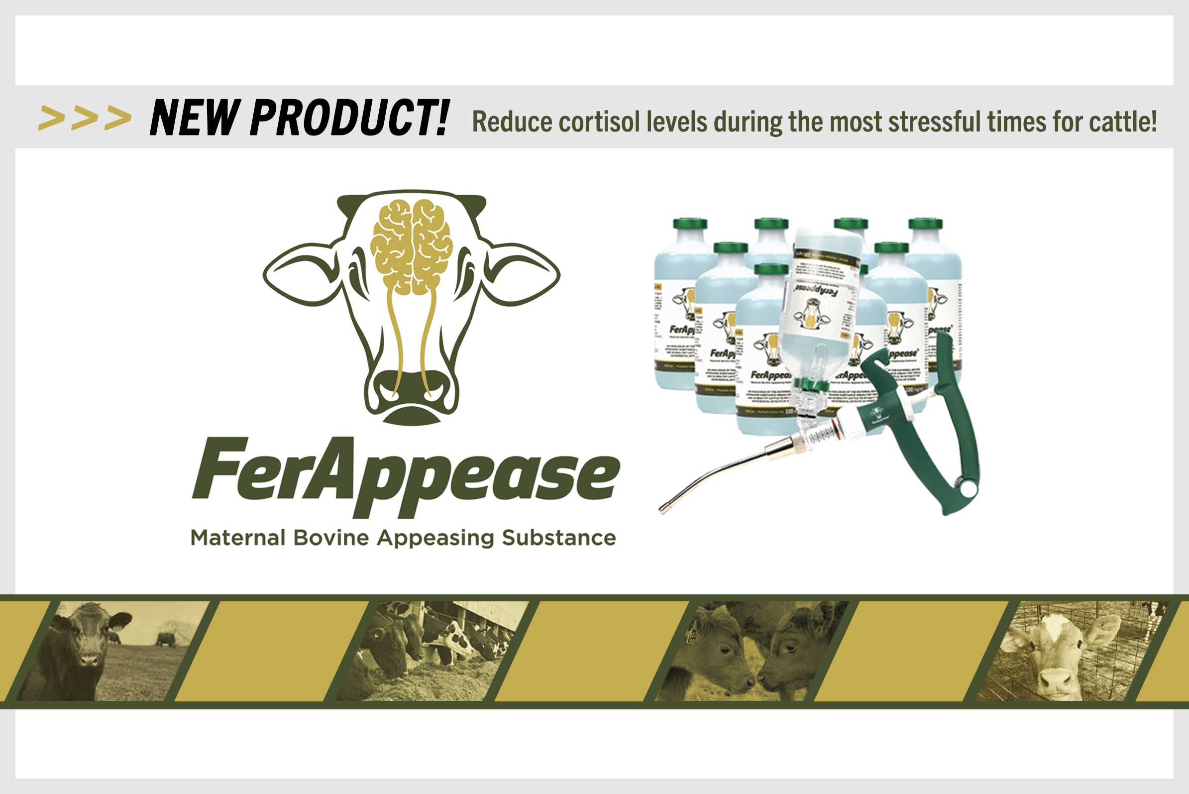 New Product header from Premier