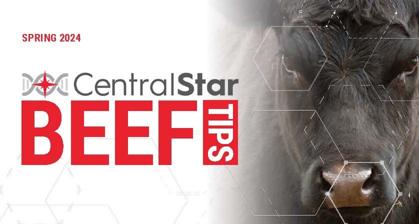 Beef Tips – Spring 2024