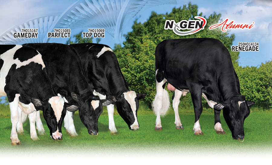 WHY NxGEN?