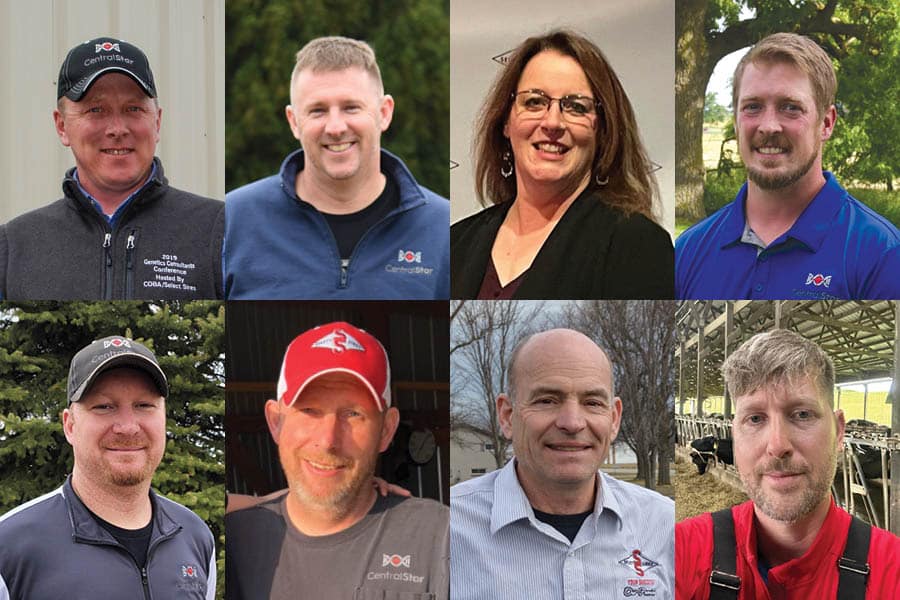 Key Opportunities for improving heifer programs