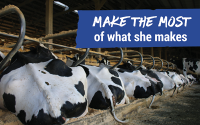 Make the most of what she makes
