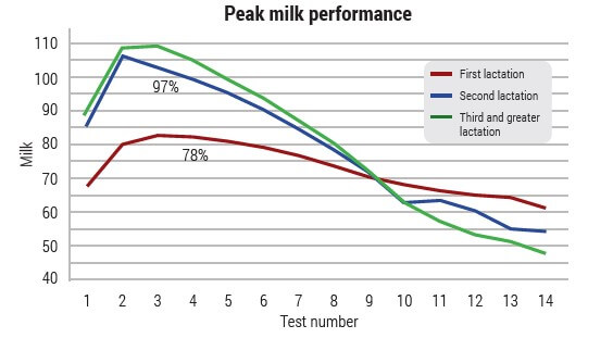 Peak milk performance