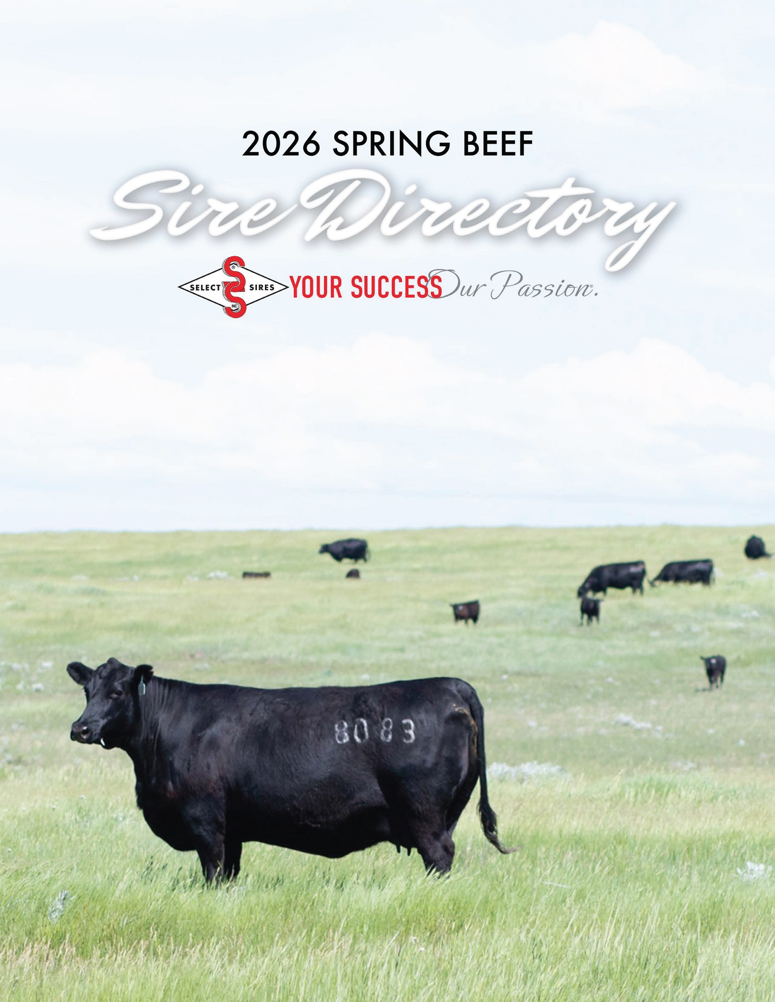 Beef Sire Directory