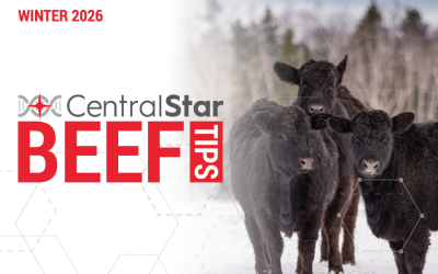 Beef Tips – Winter 2026