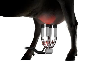 CowManager Unveils Milk Sensor Innovation