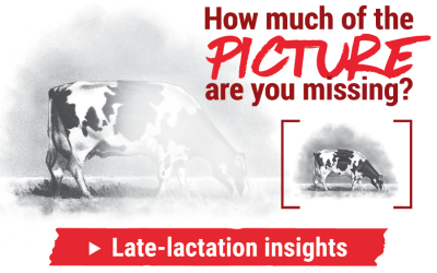 Better information before dry-off leads to better decisions